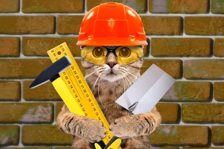 Kedi evi yapımı hakkında bilmeniz gerekenler