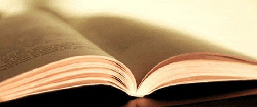 Kitap Kurtları İyi Bilir! Düzenli Kitap Okumanın 27 Şahane Faydası