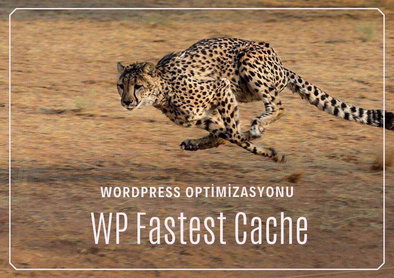 Wordpress cache nedir, ne işe yarar?