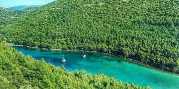 Bodrum Kent Konseyi Cennet Koy Açıklaması