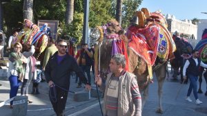 Bodrum’daki turistler sokağa çıkan develerle fotoğraf çektirdi