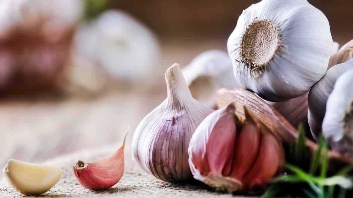 Sarımsağı bu şekilde tüketirseniz hayatınız kurtulur! Mucizevi 10 dakika kuralı!