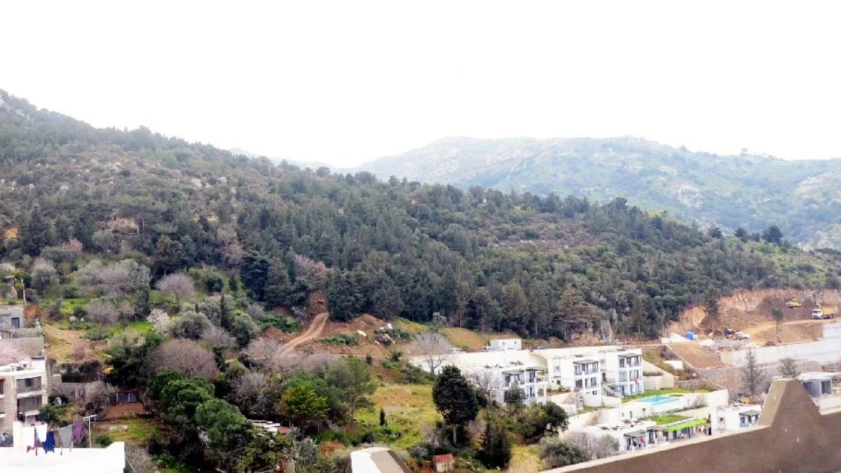 Bir yeşil alan daha beton yığını olacak! Metrekaresini 12 bin TL’den sattılar