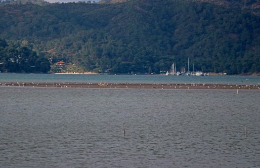 Fethiye’de deniz suyu çekildi