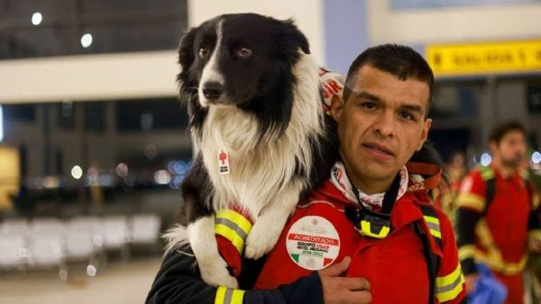 Meksika’nın kahraman arama-kurtarma köpekleri Türkiye’ye gönderildi