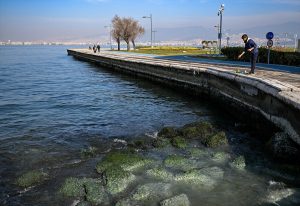 Uzmanlardan Ege Denizi’nde su çekilmesine ilişkin değerlendirme
