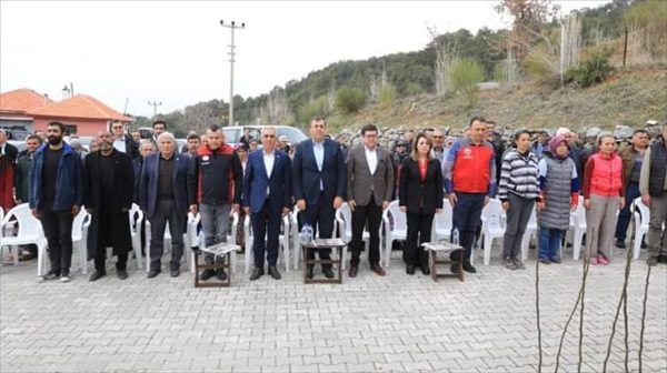 Dalaman’da 11 mahallede incir fidan dağıtımı yapıldı