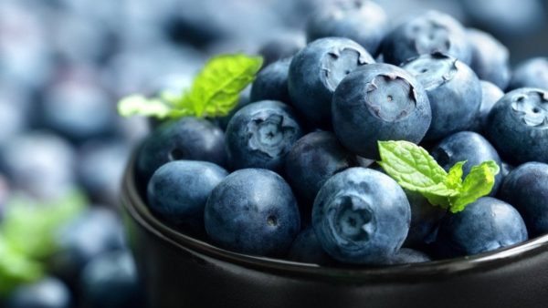 Yaban mersini daha fit ve sağlıklı olmanın sırrı olabilir