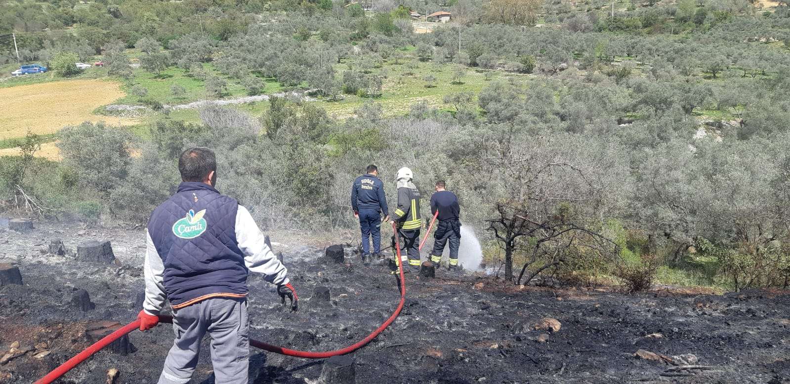 Muğla’da zeytinlik ve ormanlık alanda çıkan yangın söndürüldü