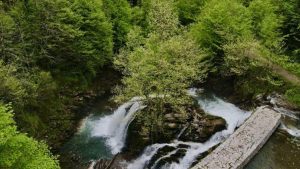 İlkbaharla canlanan Maden Deresi doğaseverleri bekliyor