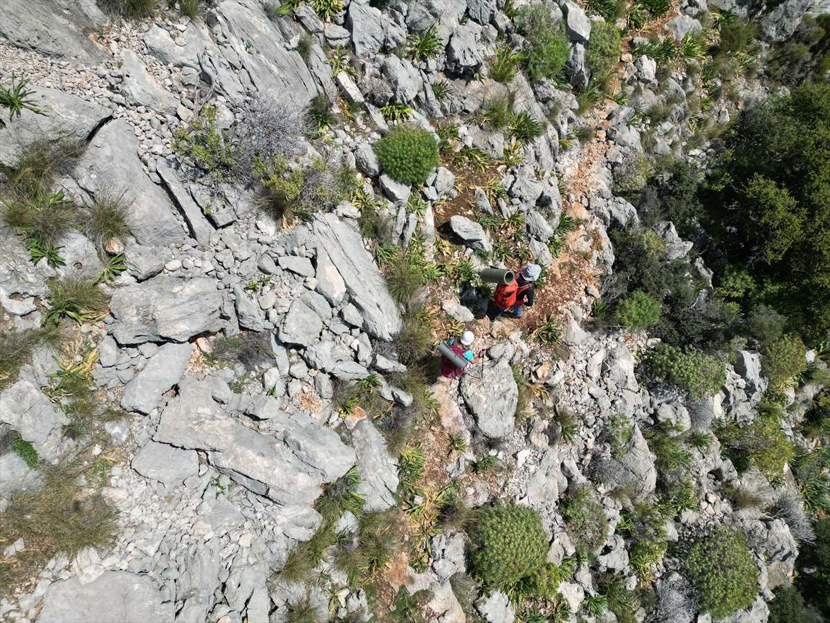 Tarihle doğanın buluştuğu Likya Yolu doğaseverleri ağırlıyor