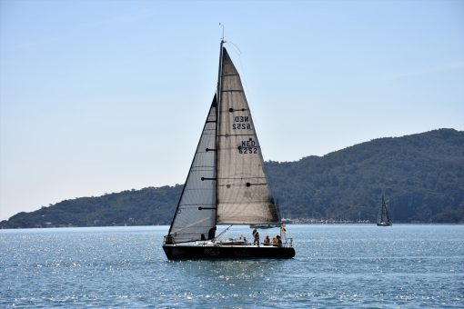 Yat yarışları: MIYC Trio Cup