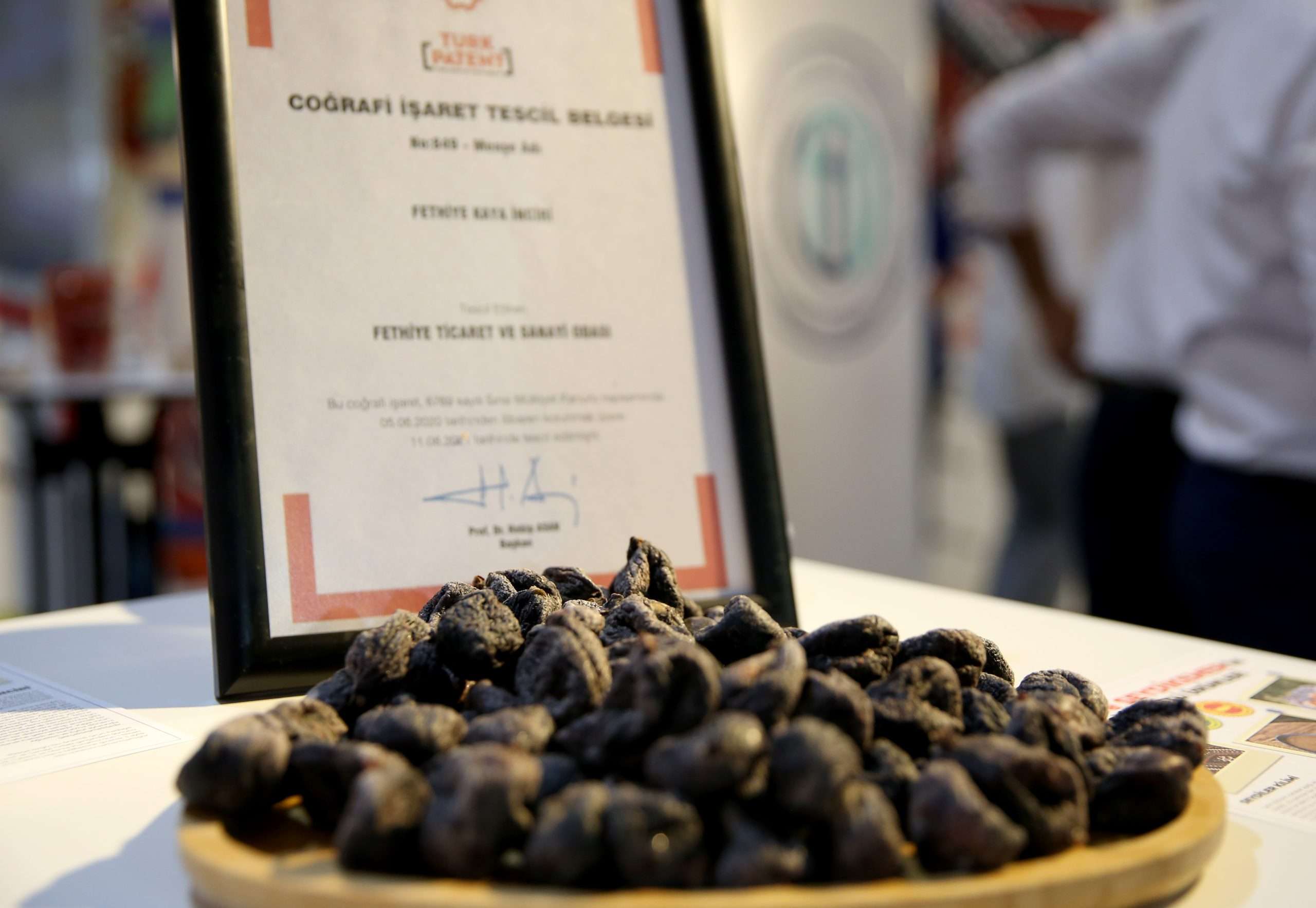 11. Fethiye Tarım, Hayvancılık, Seracılık, Gıda İhtisas Fuarı açıldı