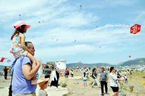 17. Bodrum Uçurtma Festivali’nde elde edilen gelir ilçedeki bir ilkokula aktarılacak