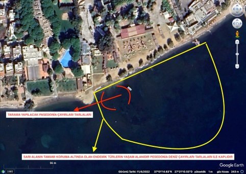 Deniz Habitatını Olumsuz Etkileyecek İzin İptal Edilsin
