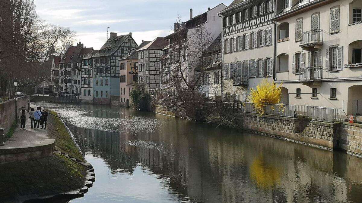 Avrupa’yı ilmek ilmek ören nehir: Ren