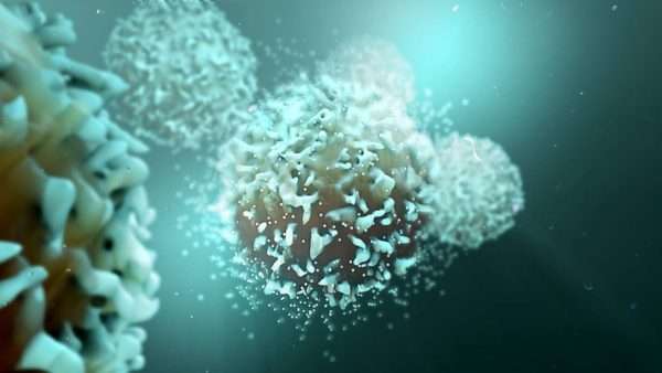 Bilim insanları, kanserin bağışıklık sisteminden nasıl kaçındığını buldu
