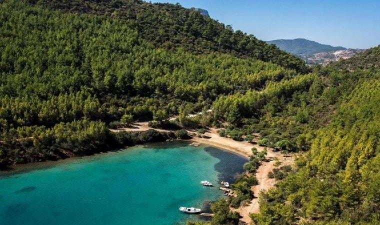 Bodrum’da katliama devam