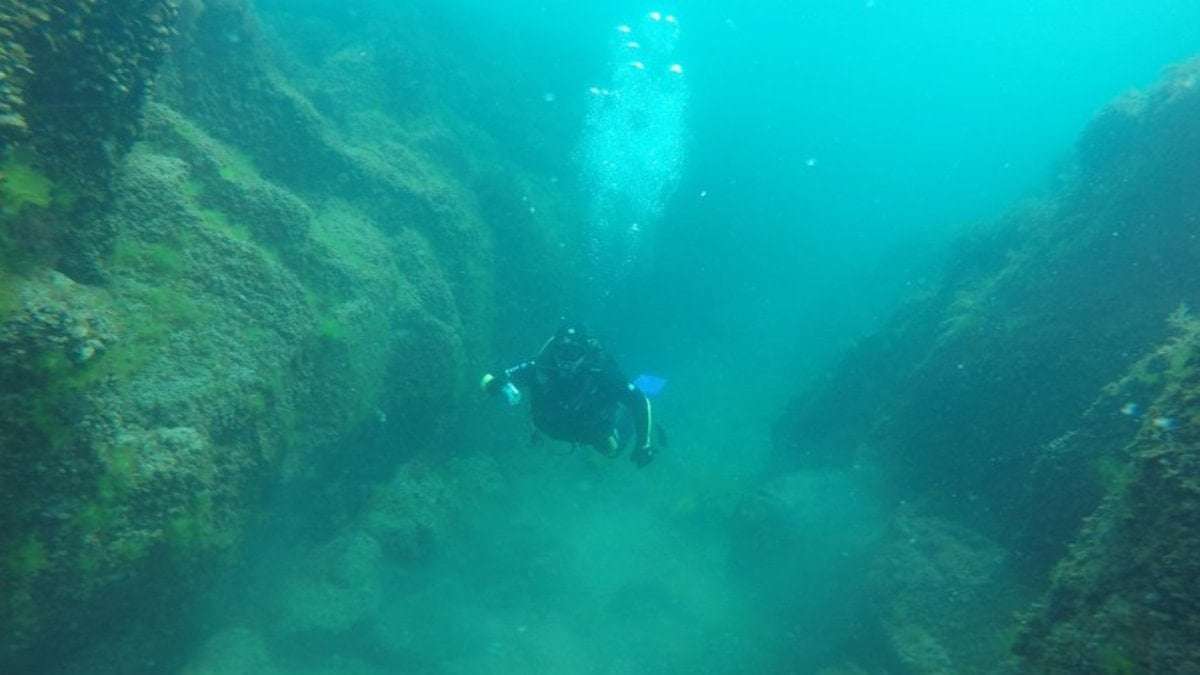 Doğu Karadeniz’deki beş ilin ‘Mavi Yol’u belirlendi