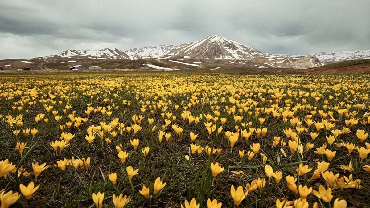 Eğrigöl fotoğraf tutkunlarını ağırlıyor