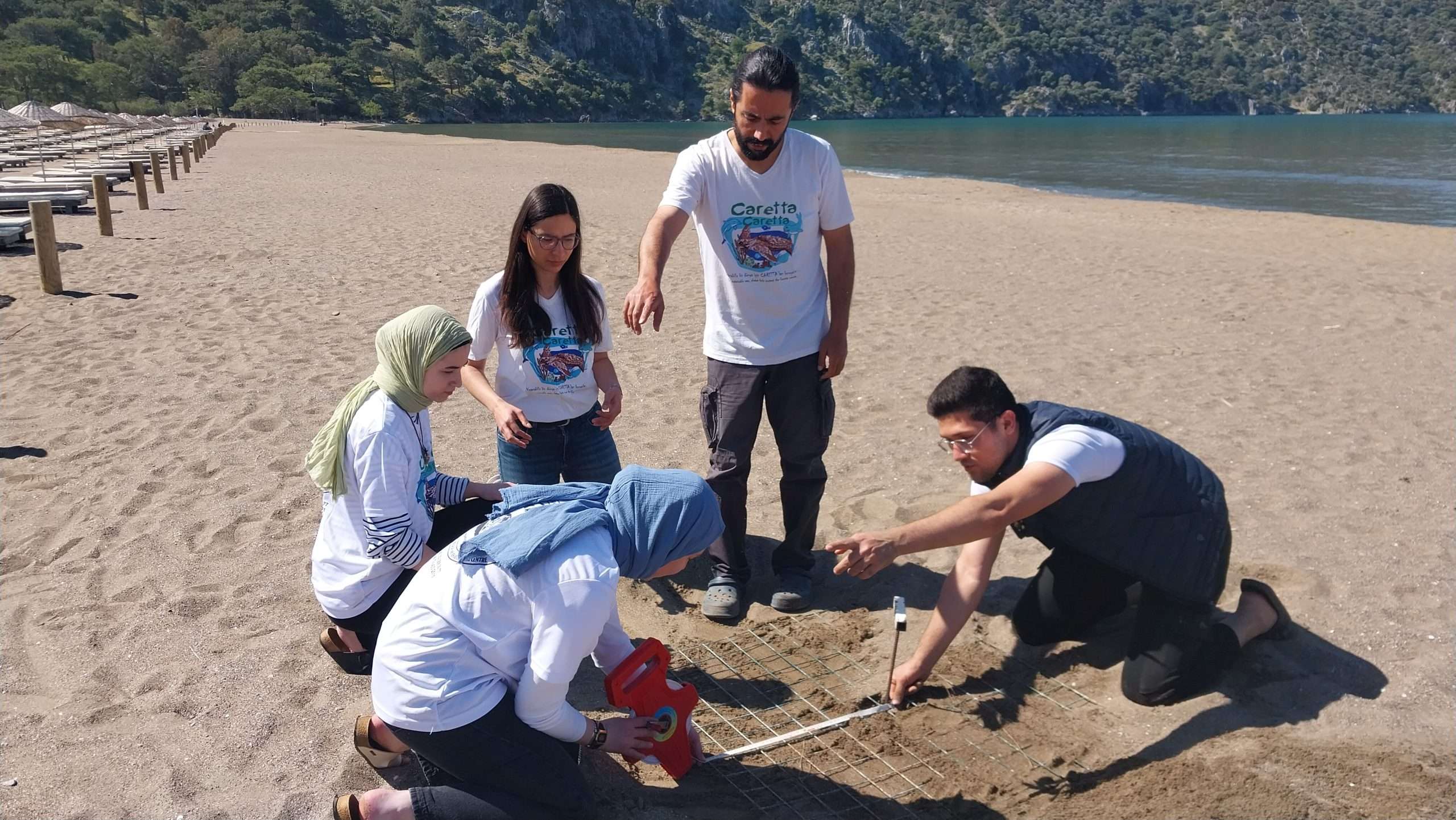 Muğla’da caretta carettalar İztuzu sahiline yumurta bırakmaya başladı