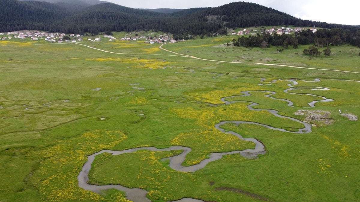 Sarıalan Yaylası’ndan kartpostallık manzaralar
