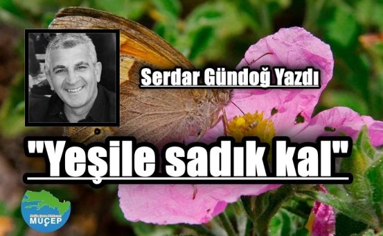 Muğla Çevre Platformu Meclisleri Bodrum’da buluştu: “Yeşile sadık kal”