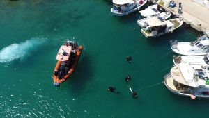Bodrum’da deniz dibi temizliği yapıldı, 30 bin balık yavrusu denize bırakıldı