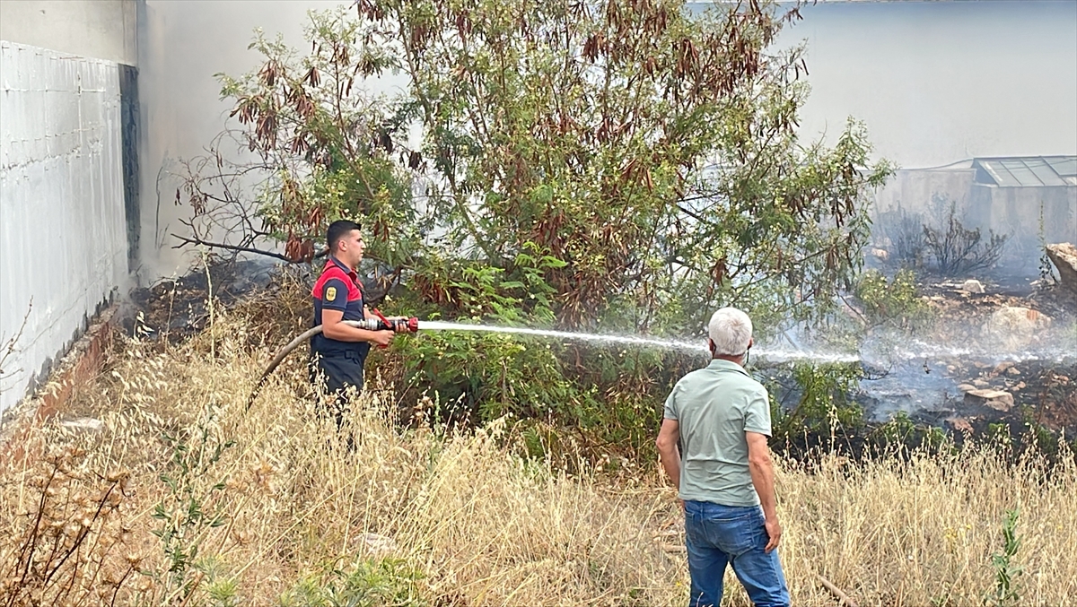 Bodrum’da otluk alanda çıkan yangın söndürüldü