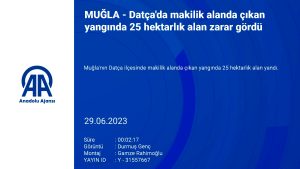 Datça’da makilik alanda çıkan yangında 25 hektarlık alan zarar gördü