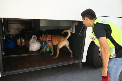 Denetimlerde uyuşturucu arama köpeği “Efor” da bazı araçlar üzerinde arama yaptı.
