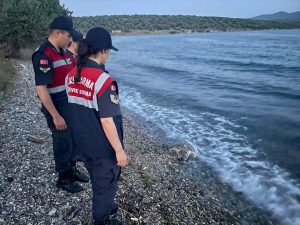 Milas’ta yaralı bulunan deniz kaplumbağası tedaviye alındı