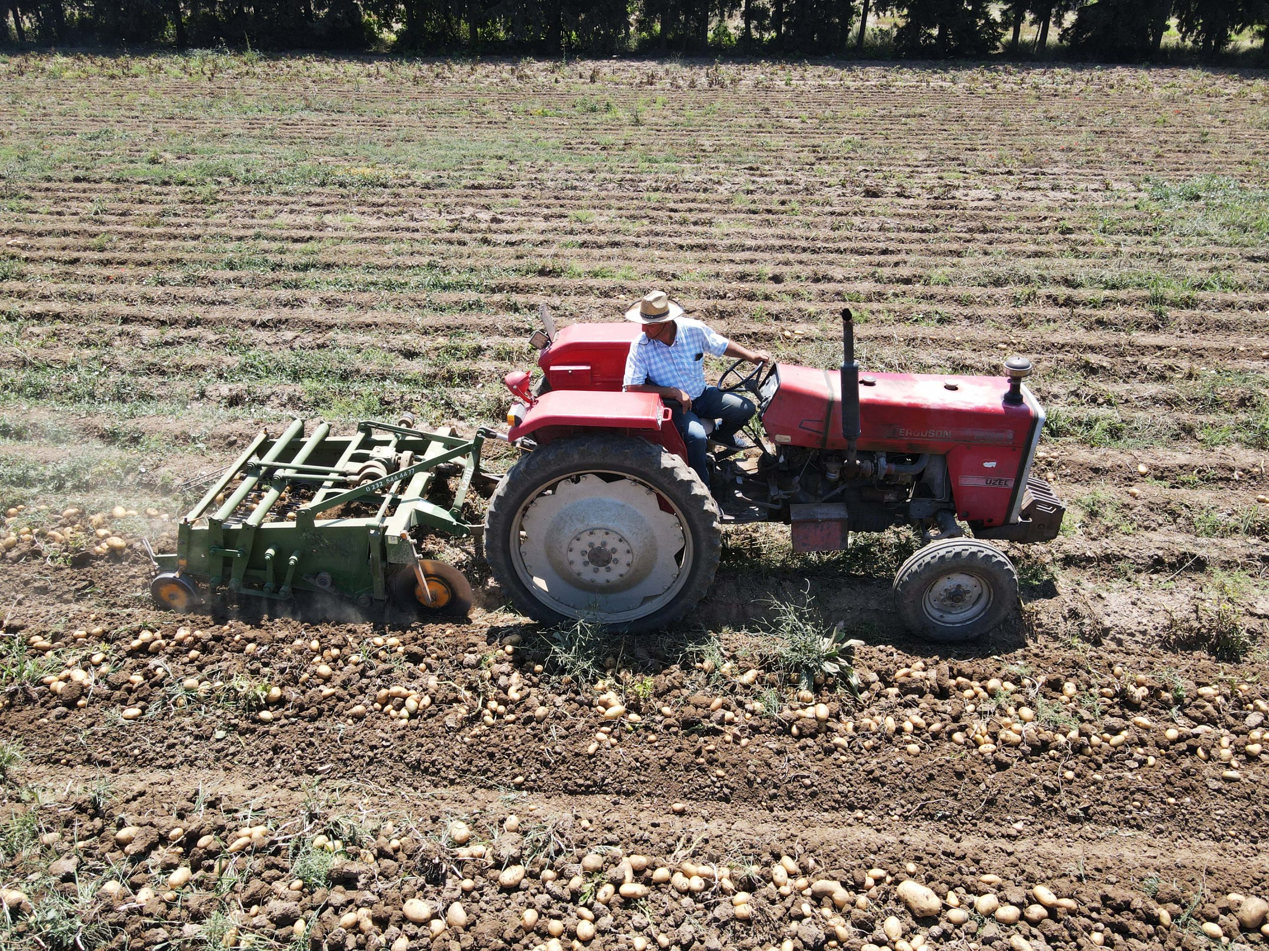 Muğla’da turfanda patates hasadı sona erdi