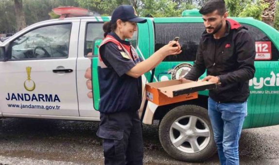 Uçamayan ebabil kuşu tedaviye alındı