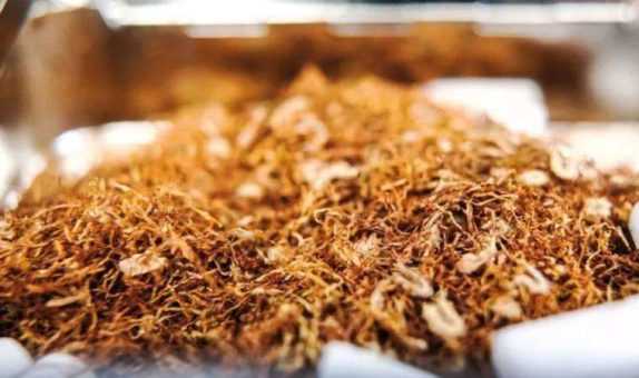 Sağlık örgütlerinden tütün tekellerinin ‘yasa dışı, kapı dışı’ kampanyasına tepki: ‘Kuzuyu kurda teslim etmeyeceğiz!’