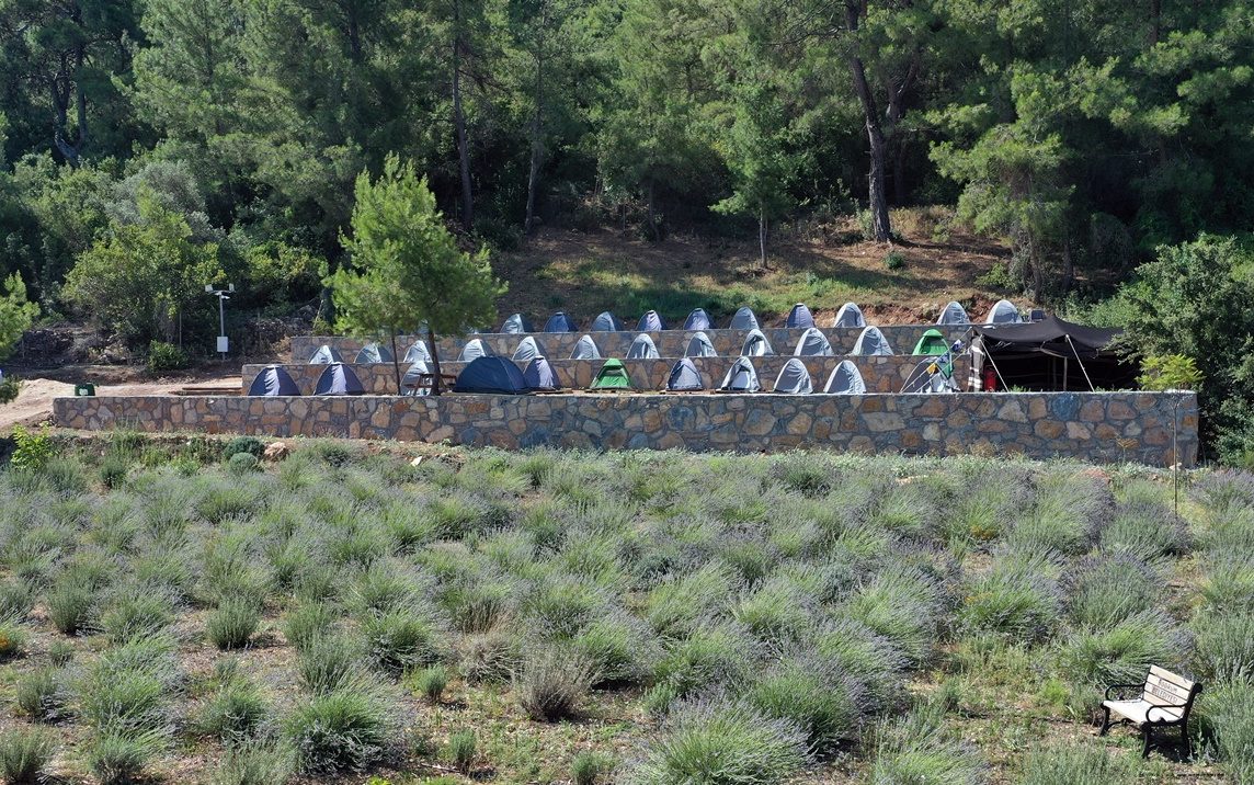 Garaova Tarım Park’ta lavanta hasadı.