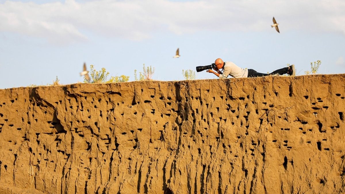 Fotoğrafçıların uğrak yeri: Kırlangıç yuvaları