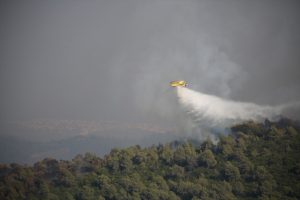 Muğla’da ormanlık alanda çıkan yangına müdahale ediliyor