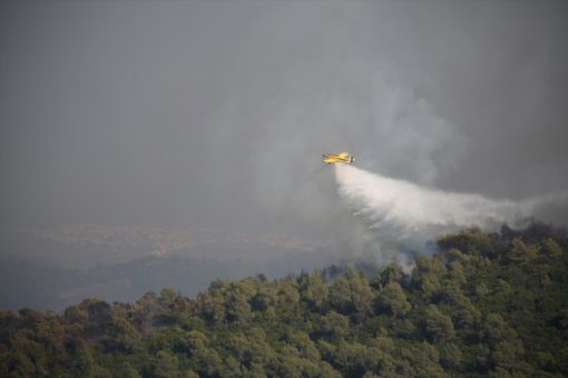 Muğla’da ormanlık alanda çıkan yangına müdahale ediliyor