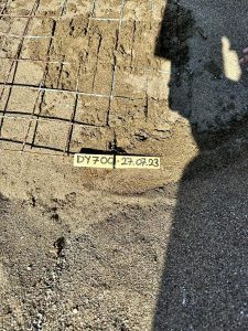 İztuzu sahilindeki caretta caretta yuvalarının sayısı 700’e ulaştı