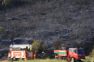 Muğla’da ormanlık alanda çıkan yangın söndürüldü