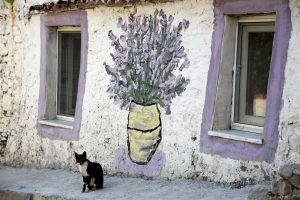 Muğla’nın “mor tarlası” misafirlerini ağırlıyor