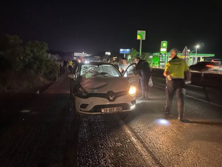 Otomobilin çarptığı yaya hayatını kaybetti