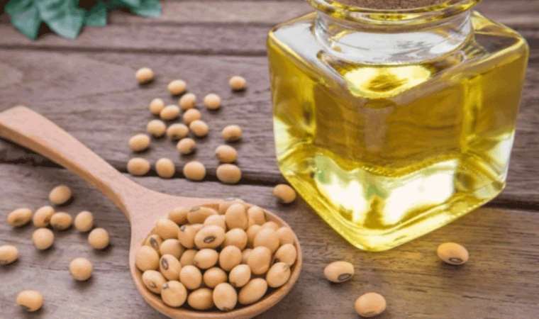 Soya yağının aşırı tüketiminin bağırsak sağlığına zarar verdiği tespit edildi