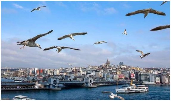 Uzmanından sıcaklık uyarısı: ‘Sıcak havalarda koyu renk elbise ve yağlı yiyeceklerden uzak durun’