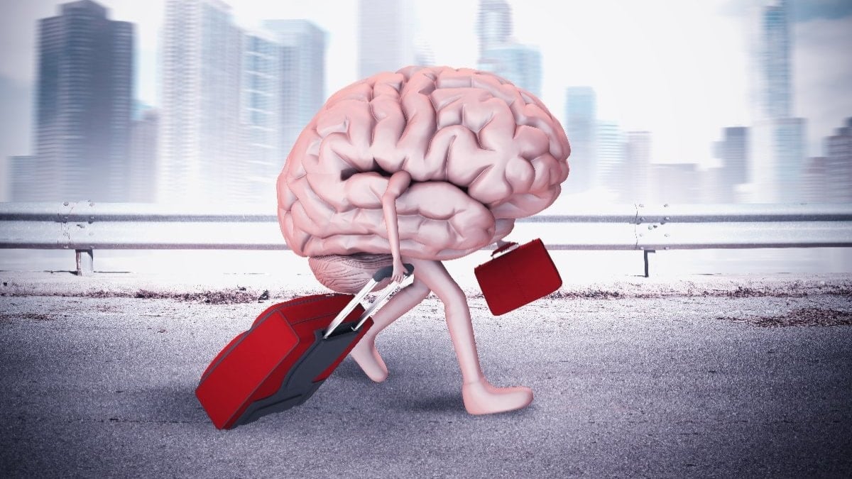 Yurt dışında gündelik yaşam ve çalışma hayatı için en iyi ülkeler