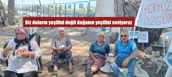 Biz doların yeşilini değil doğanın yeşilini seviyoruz