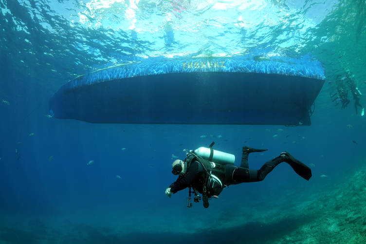 Bodrum'da deniz çayırları su altı kamerasınca görüntülendi