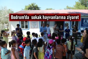 Bodrum’da öğrencilerden sokak hayvanlarına ziyaret