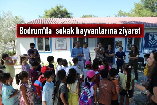Bodrum’da öğrencilerden sokak hayvanlarına ziyaret